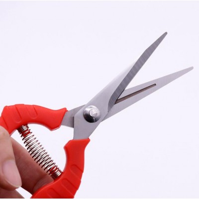 Pruning scissors