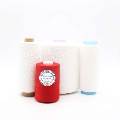 XINAO X 402 White Spun Polyester Yarn