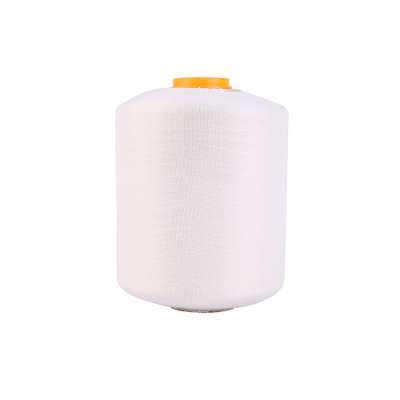 6 monofilament hank dye 100% Ring spun Polyester yarn monofilament recycled polyester filament yarn